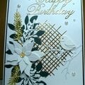 Winter Birthday Card