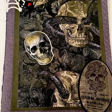 Halloween Skulls Card
