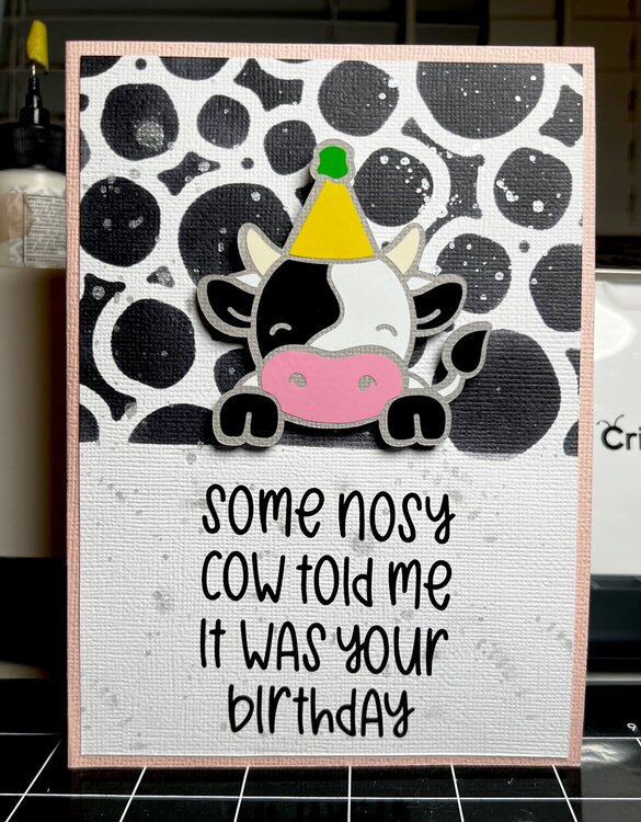 Holy Cow! It&#039;s Your Birthday