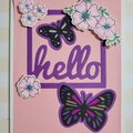 Floral Hello Based cards