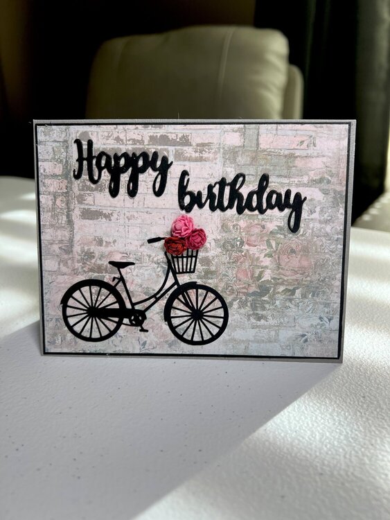 Birthday bike