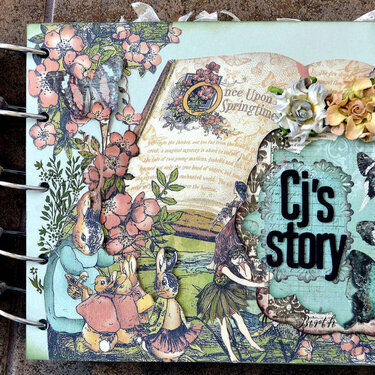 CJ&#039;s Story - Cover