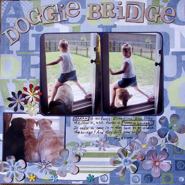 Doggie Bridge