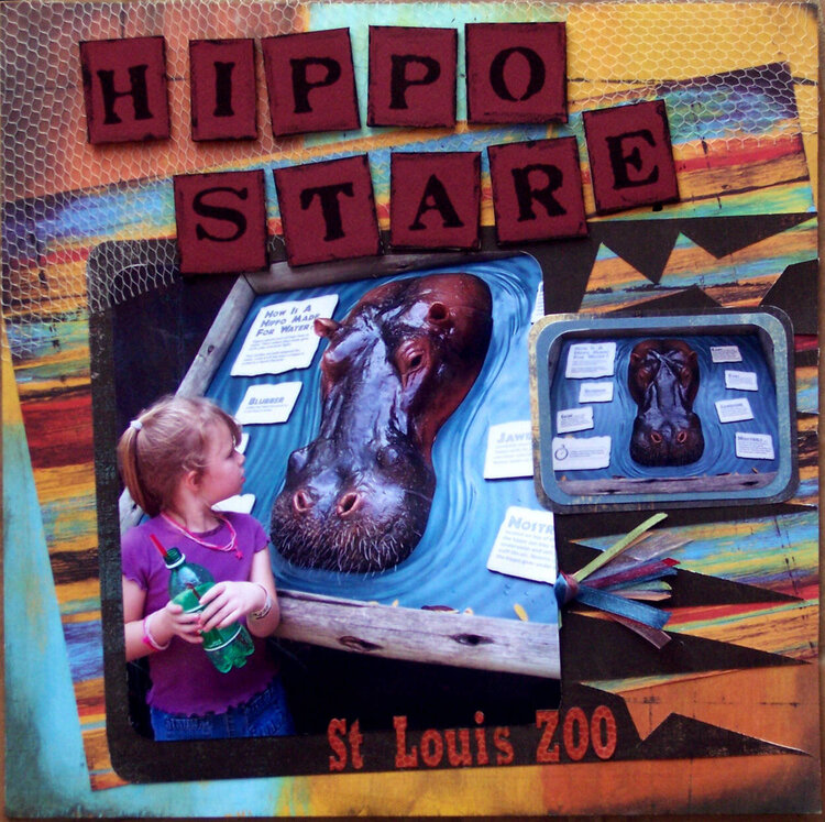 Hippo Stare