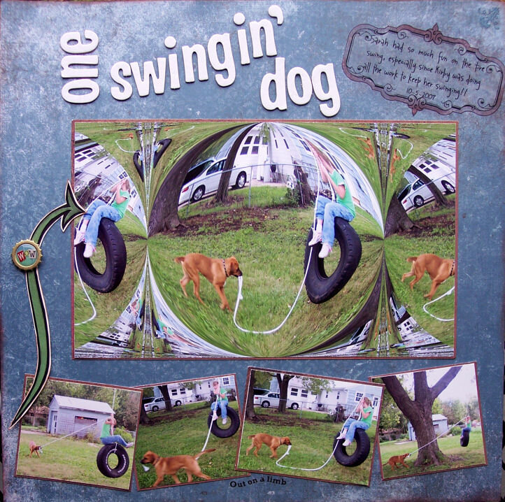 One Swingin&#039; Dog
