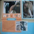 Wild Horses - left