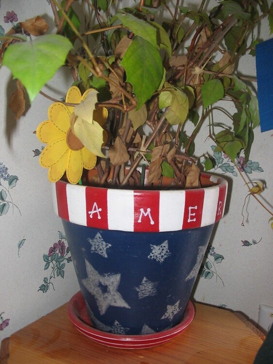 Americania flower pot