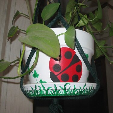 Ladybug Pot