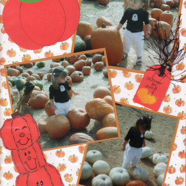 Pumpkin Patch 03