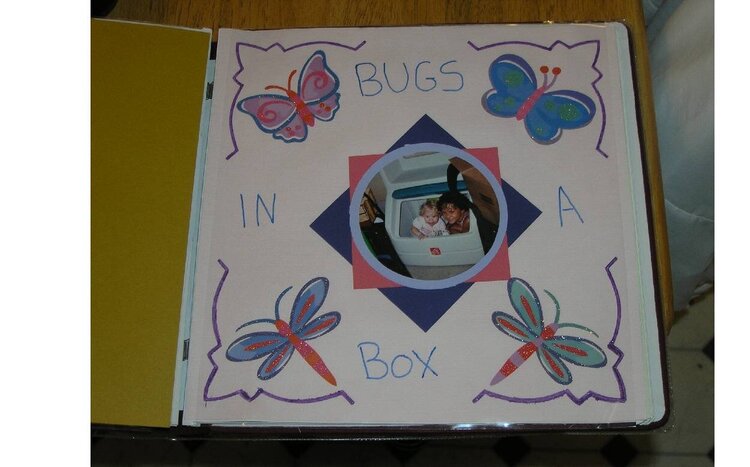 Bugs in A Box