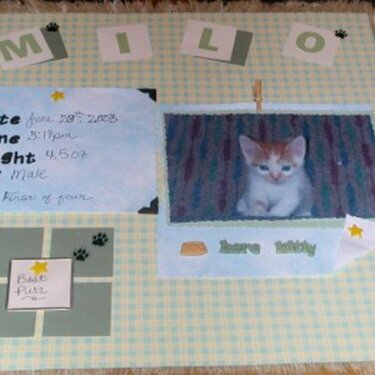 Milo kittens Birth Certificate