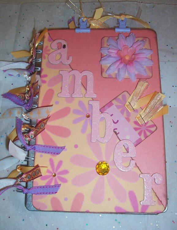 Amber&#039;s Altered Book