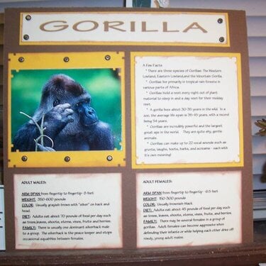 gorilla_rochelle_s_book