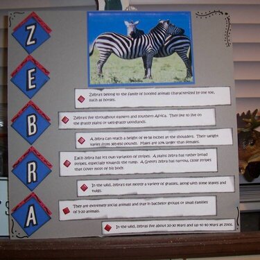 zebra-rochelle_s_book