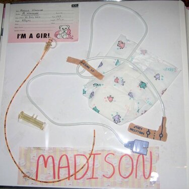 Madison&#039;s Album