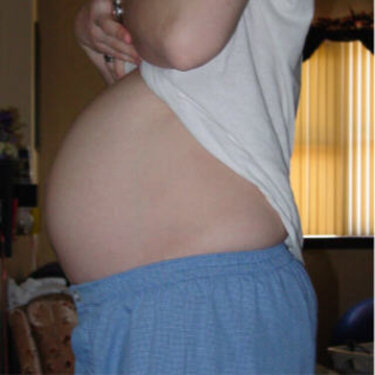 Pregnancy Belly 24 Weeks