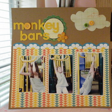 Monkey Bars