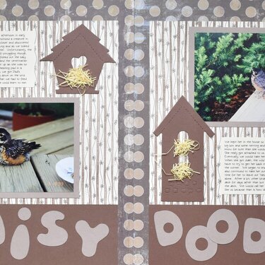 Daisy Doodle