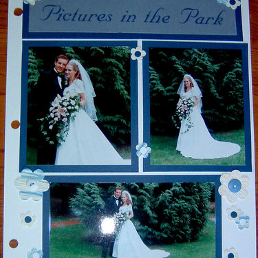 Pictures in the Park