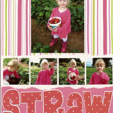Strawberry Picking
