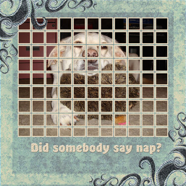 Did somebody say nap?