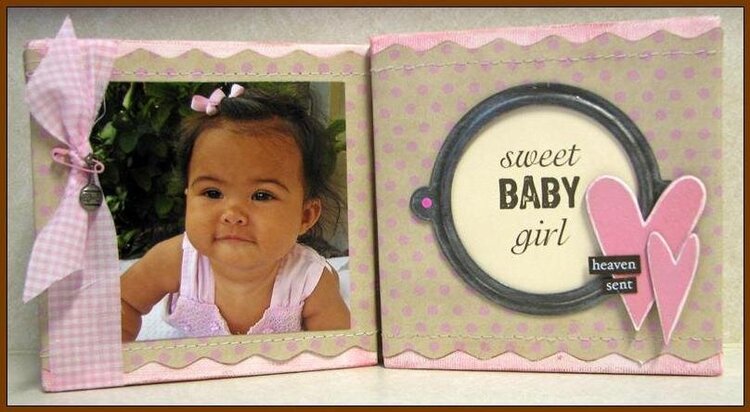 Baby Girl Mini Canvas Set- Rusty Pickle