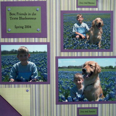 Joey and Justice Bluebonnets (L)