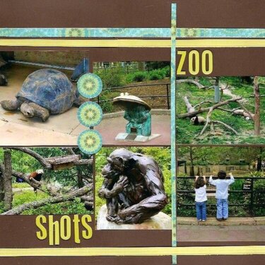 Zoo Shots