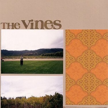 The vines