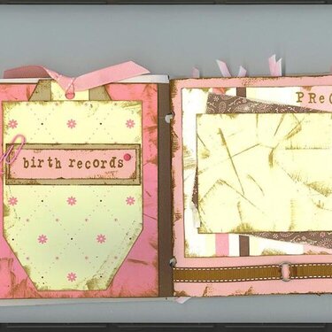 birth records