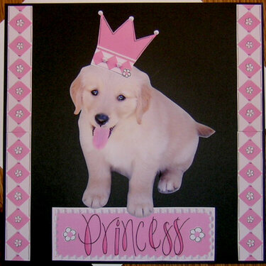 Princess Peaches (6 weeks old)