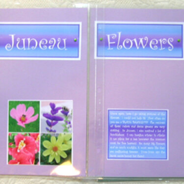 Juneau Flowers