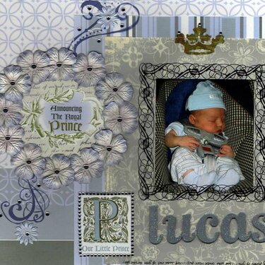 Our Little Prince Lucas