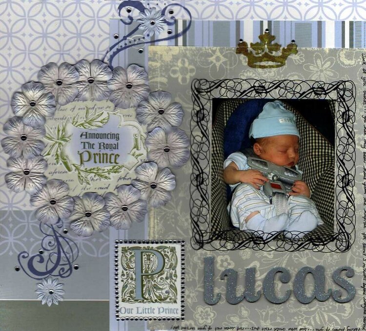 Our Little Prince Lucas