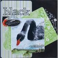 Black Swan - Technique Challenge, Doodle Challenge, No Journaling Challenge, Monthly Color Challenge