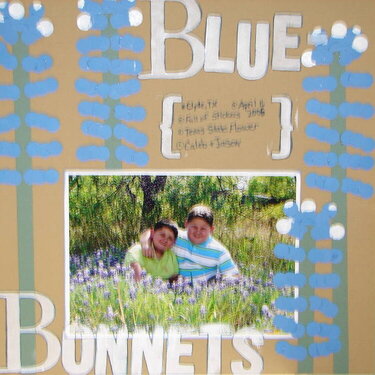 Blue-Bonnets