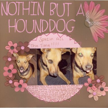 Nothin But A Hounddog