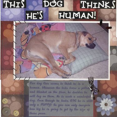 This Dog Thinks He&#039;s Human
