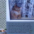 Toby