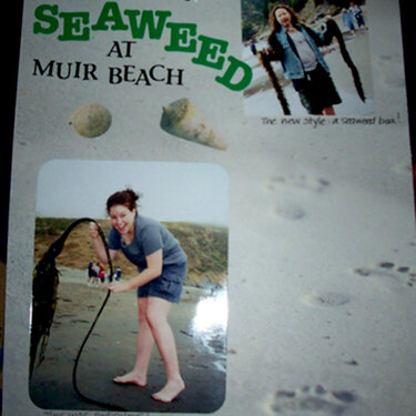 Fun With Seaweed
