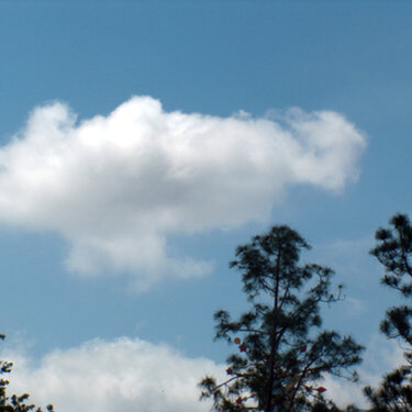 5. a cloud formation that looks like something (8 points)