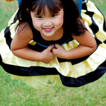 Fly little bumble bee