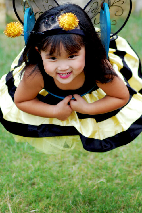 Fly little bumble bee