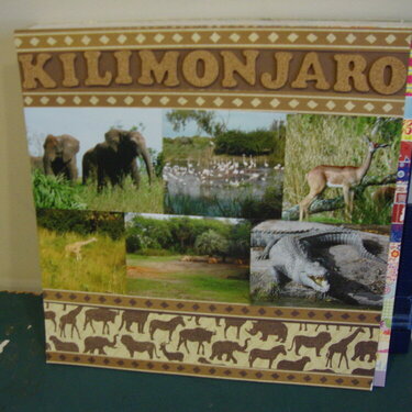 Kilimonjaro Safari