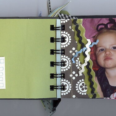 Many faces of Addi - 4x6 Mini Album - Pg 2