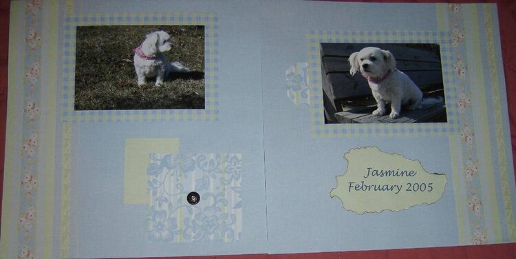 Jasmine - Feb 2005