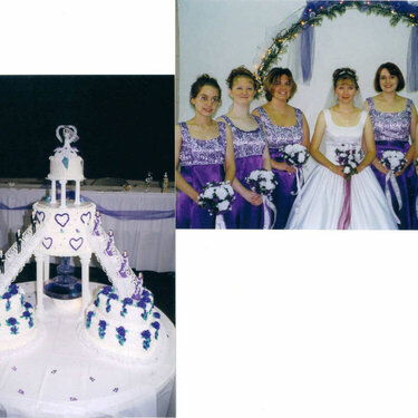 wedding party &amp; cake