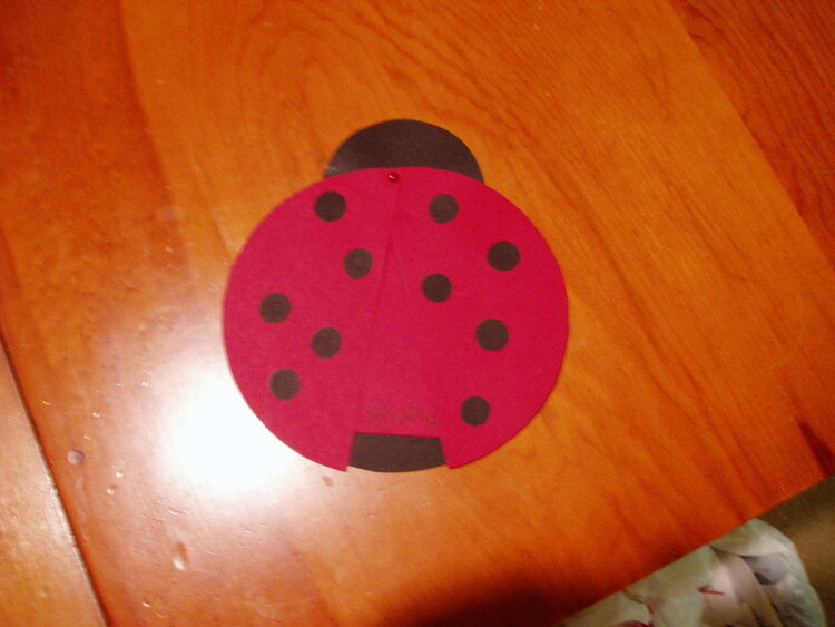 Lady Bug Hidden Journal/Altered CD