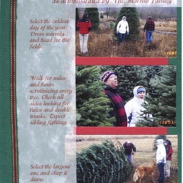 Christmas Tree Hunt