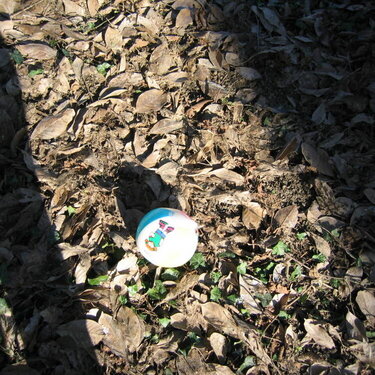 #5 a beachball in leaves  6 points